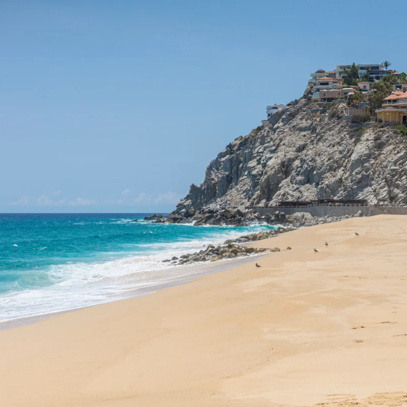 nice beach in cabo