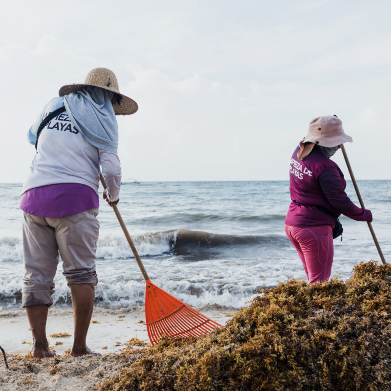 people cleaning beach in mexico