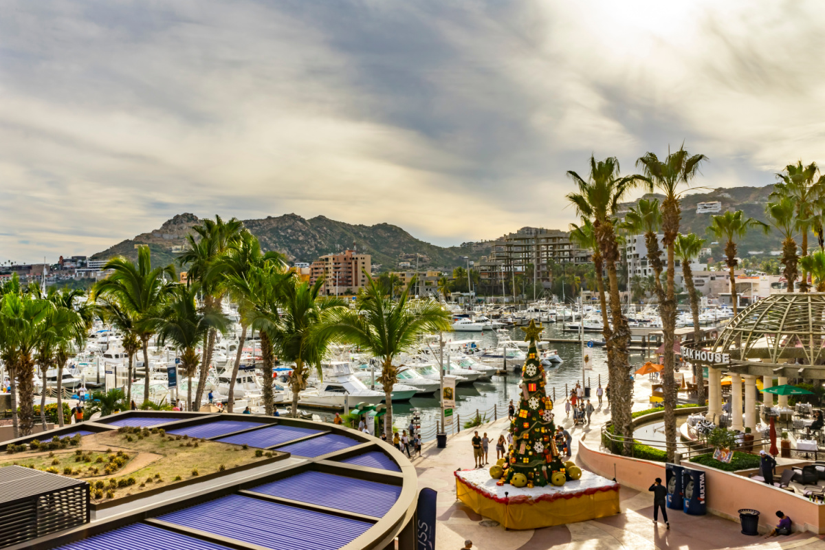 Boats, Buildings, and a Christmas Tree in the Cabo San Lucas Marina