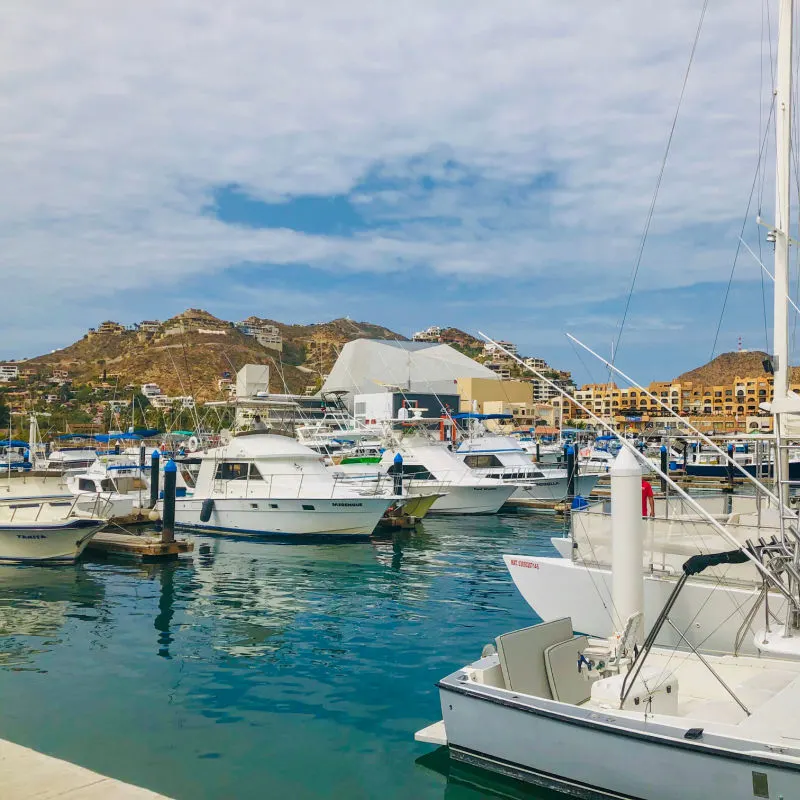 Cabo San Lucas:Mexico. Boats in Marina in Cabo on the Walk towards Medano Beach