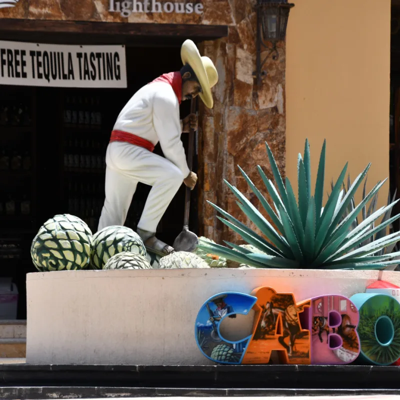 cabo sign at tequila tasting room