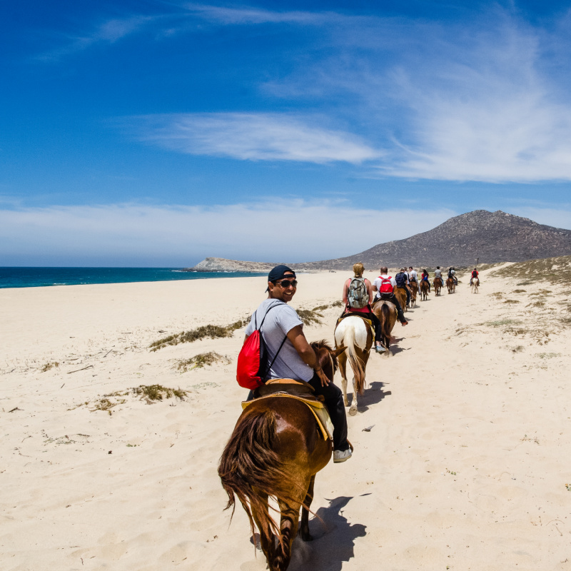 Riding horses on the beach in Los Cabos