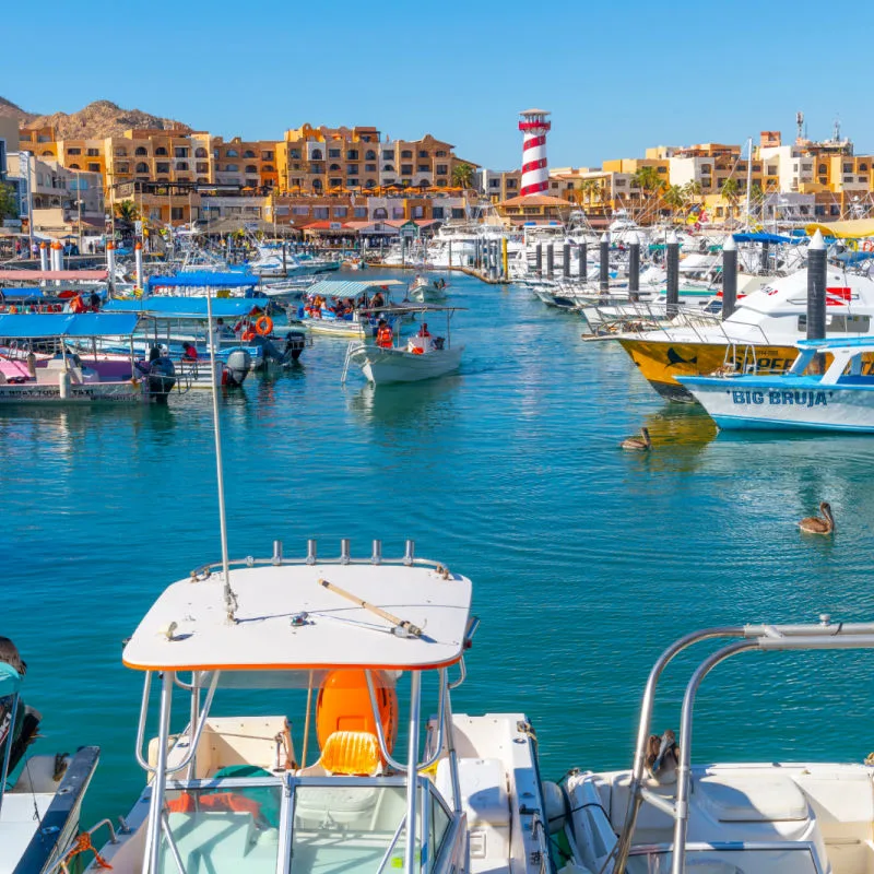 Marina of Cabo San Lucas on a sunny day