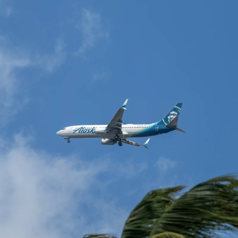 alaska airlines plane above palm tree
