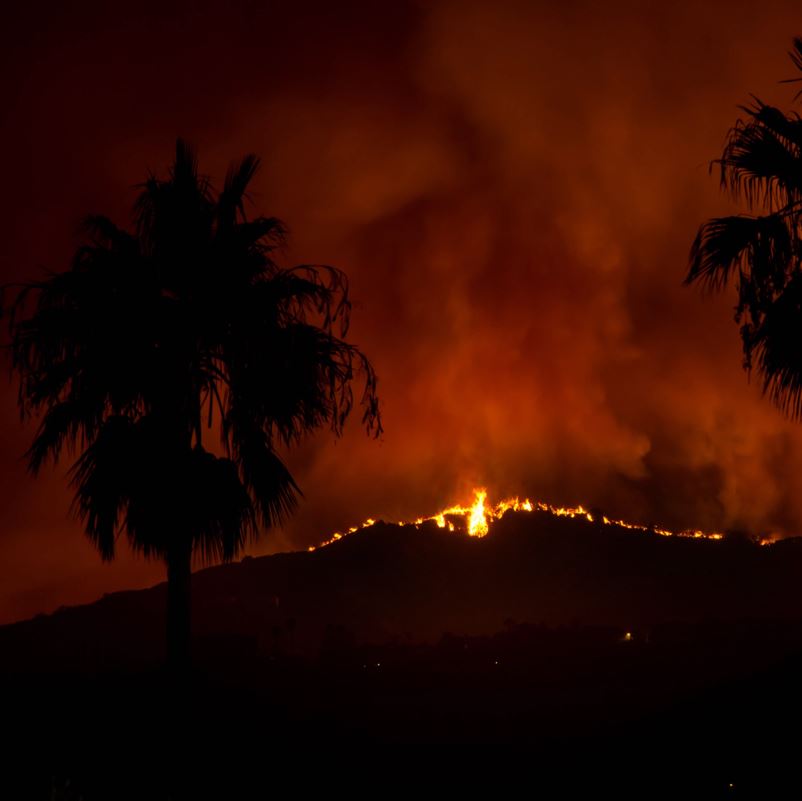 A wildfire with silhouetted palm trees in the foreground