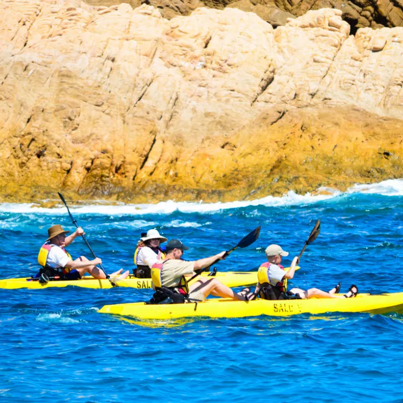 Group of people having fun on kayaks. Sunny day for kayaking in Los Cabos