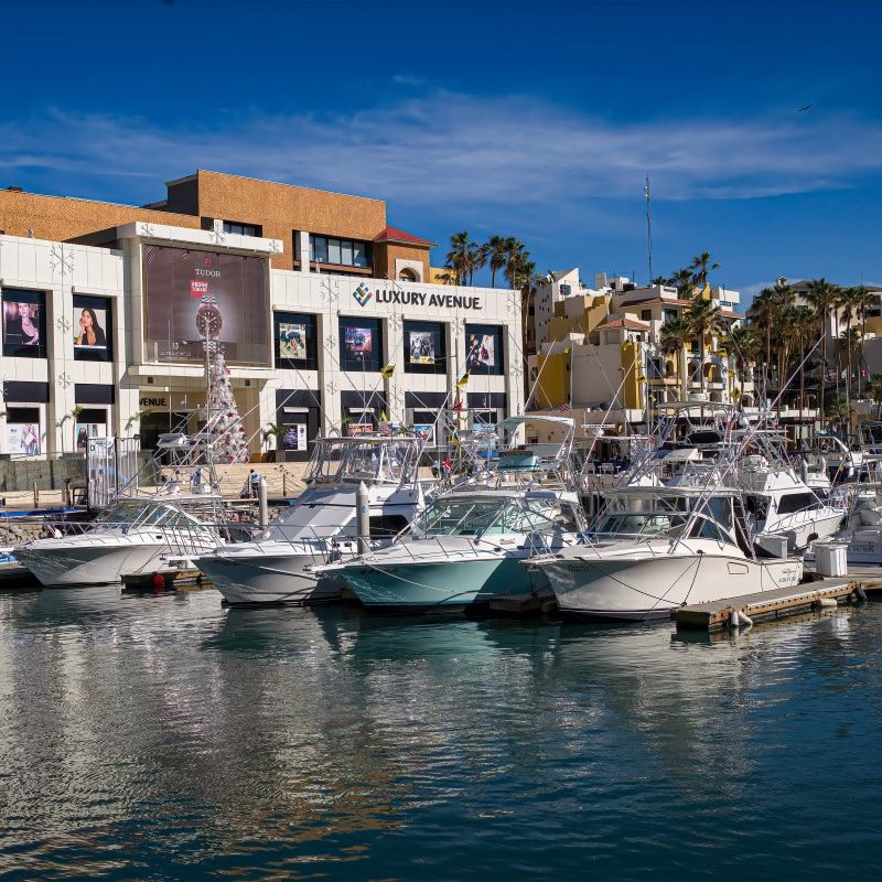 View of boats at the Los Cabos marina in the downtown tourist corridor, with the Luxury Avenue shopping mall in the background.