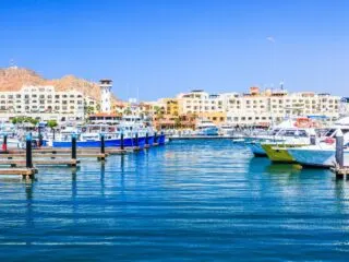 The Cabo San Lucas Marina Area
