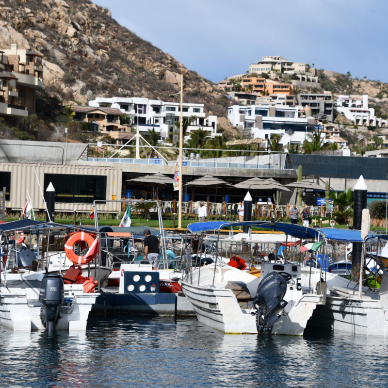 Marina in Cabo San Lucas, Mexico, with buildings in the background and boats in the front