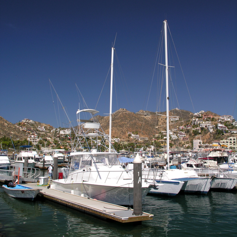 Boats in the marina of Los Cabos