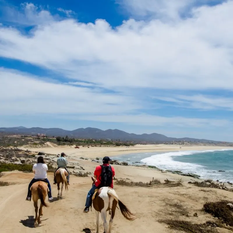 Horseback riding on the beach in Cabo San Lucas, Mexico