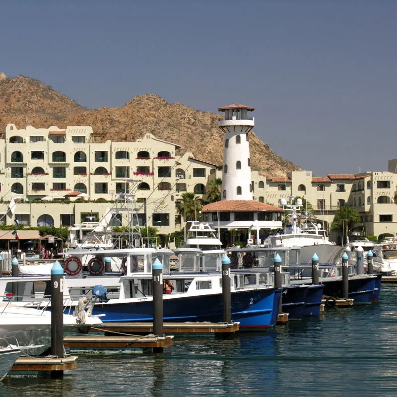 Marina of Cabo San Lucas