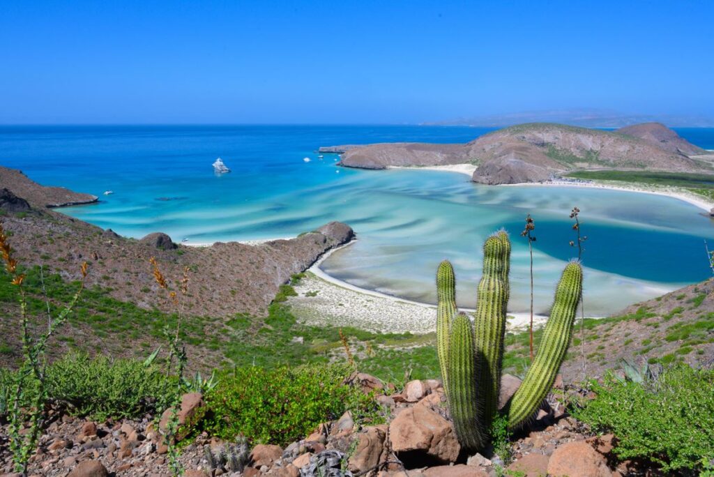 Nearly Half Of Los Cabos Visitors Who Plan Day Trips Head To This Charming City Nearby