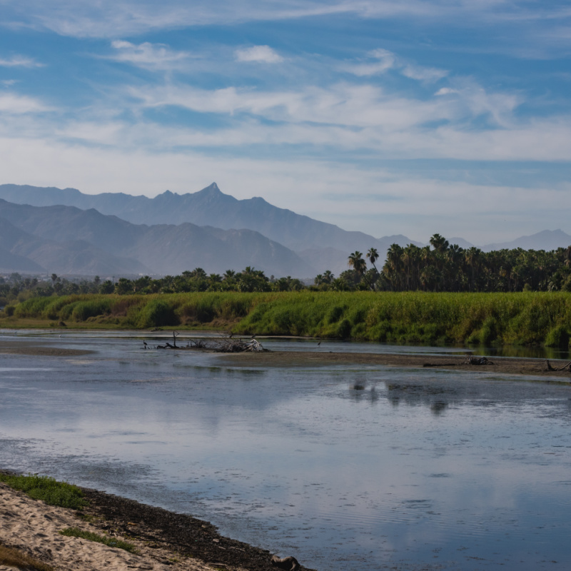 San José del Cabo estuary with mountains on the background and water in the front
