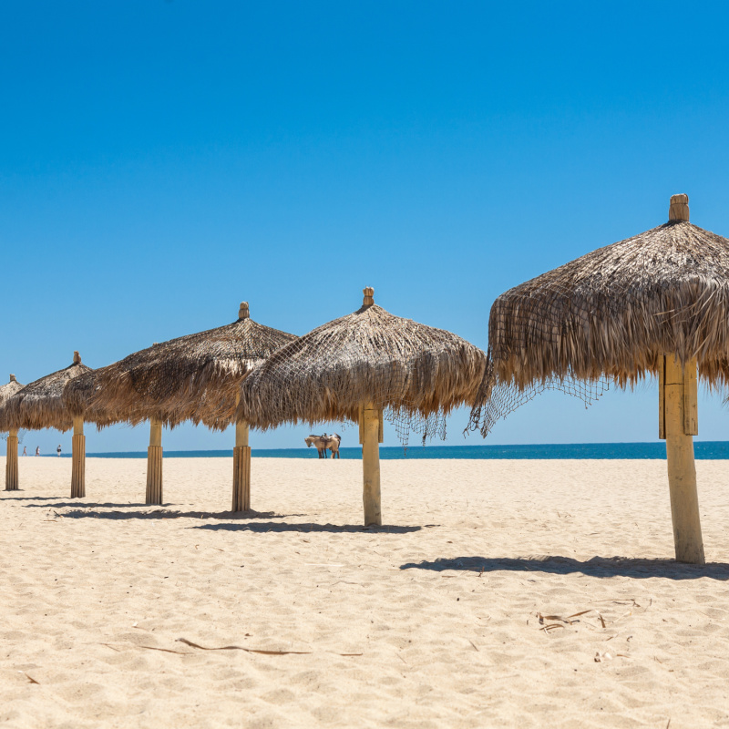 Straw handmade umbrellas on a Sea of Cortez beach in San Jose del Cabo, Mexico