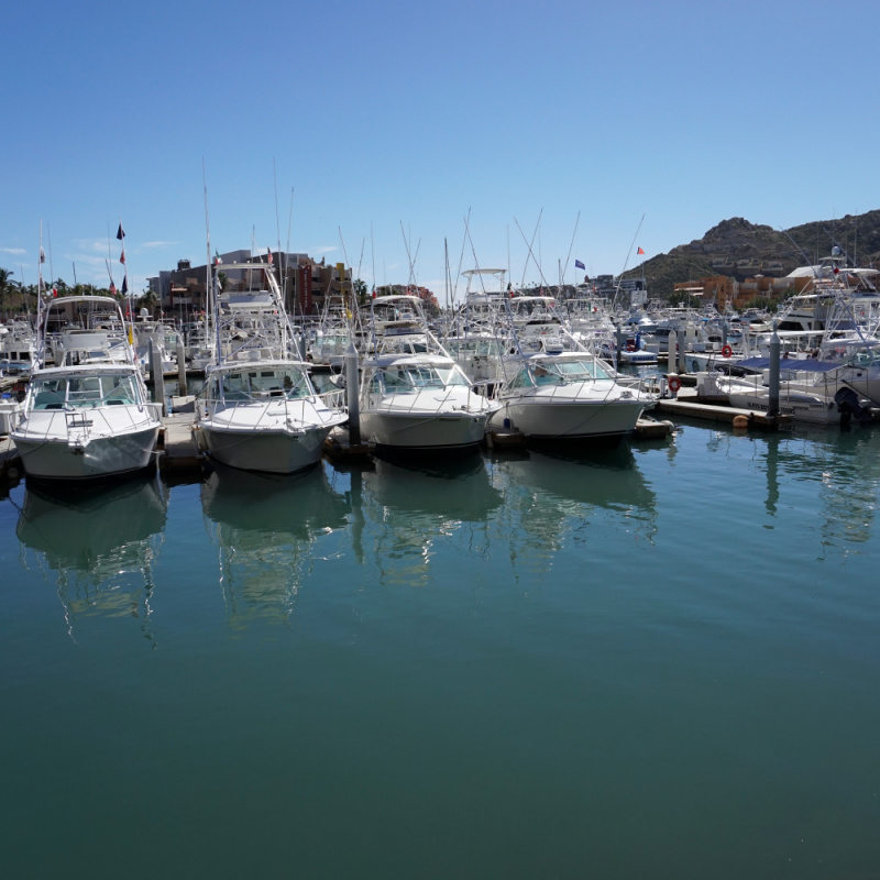 Boats in the marina of Cabo San Lucas on a sunny day