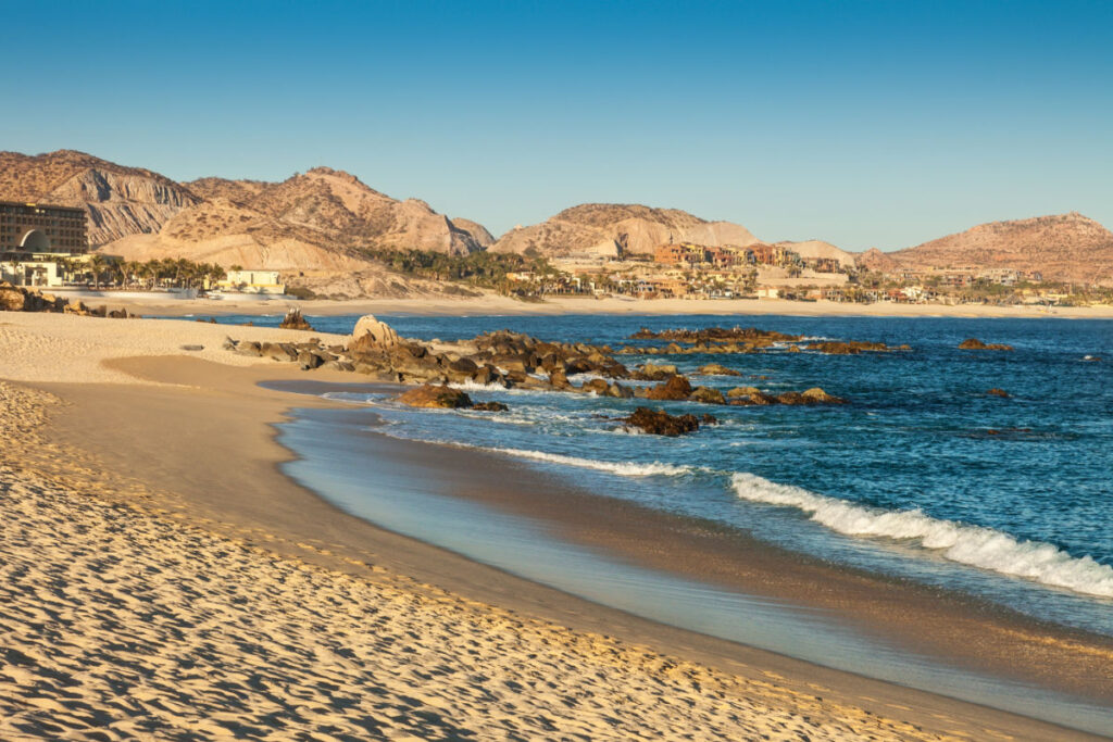 Swim Safe In Los Cabos! Warning Issued To Avoid This Dangerous Marine Life