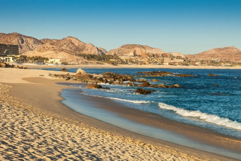 Swim Safe In Los Cabos! Warning Issued To Avoid This Dangerous Marine Life