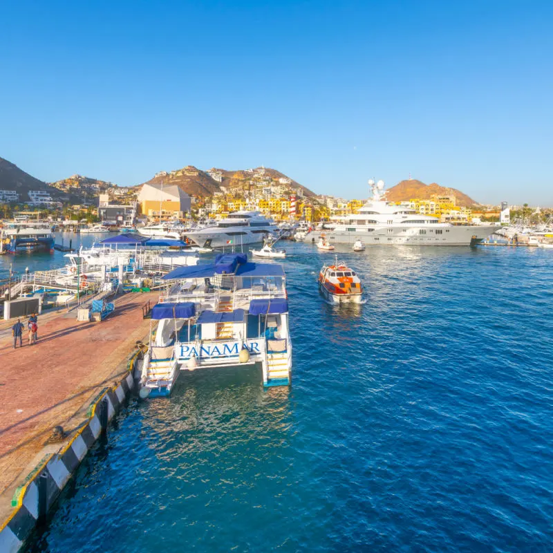 Boats in the Cabo San Lucas Marina