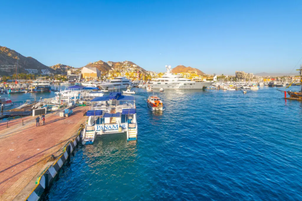 Boats Next To a Dock in Cabo San Lucas Marina