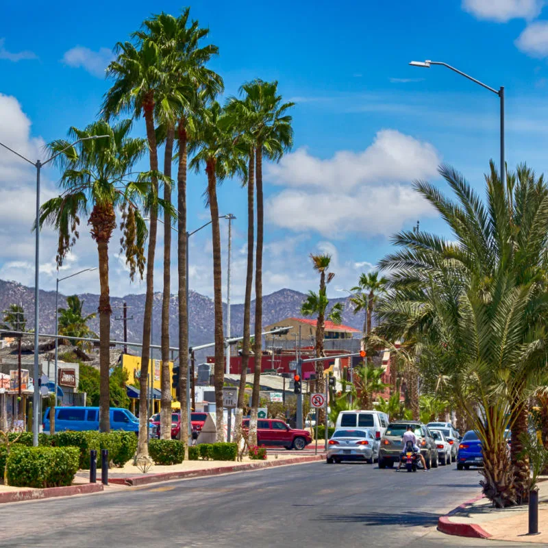 Cars on the Road in Cabo San Lucas, Mexico