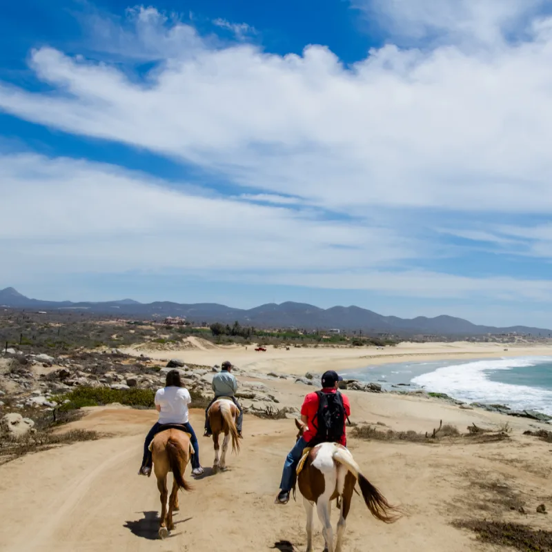 Tourists Horseback Riding on a Beach in Los Cabos, Mexico