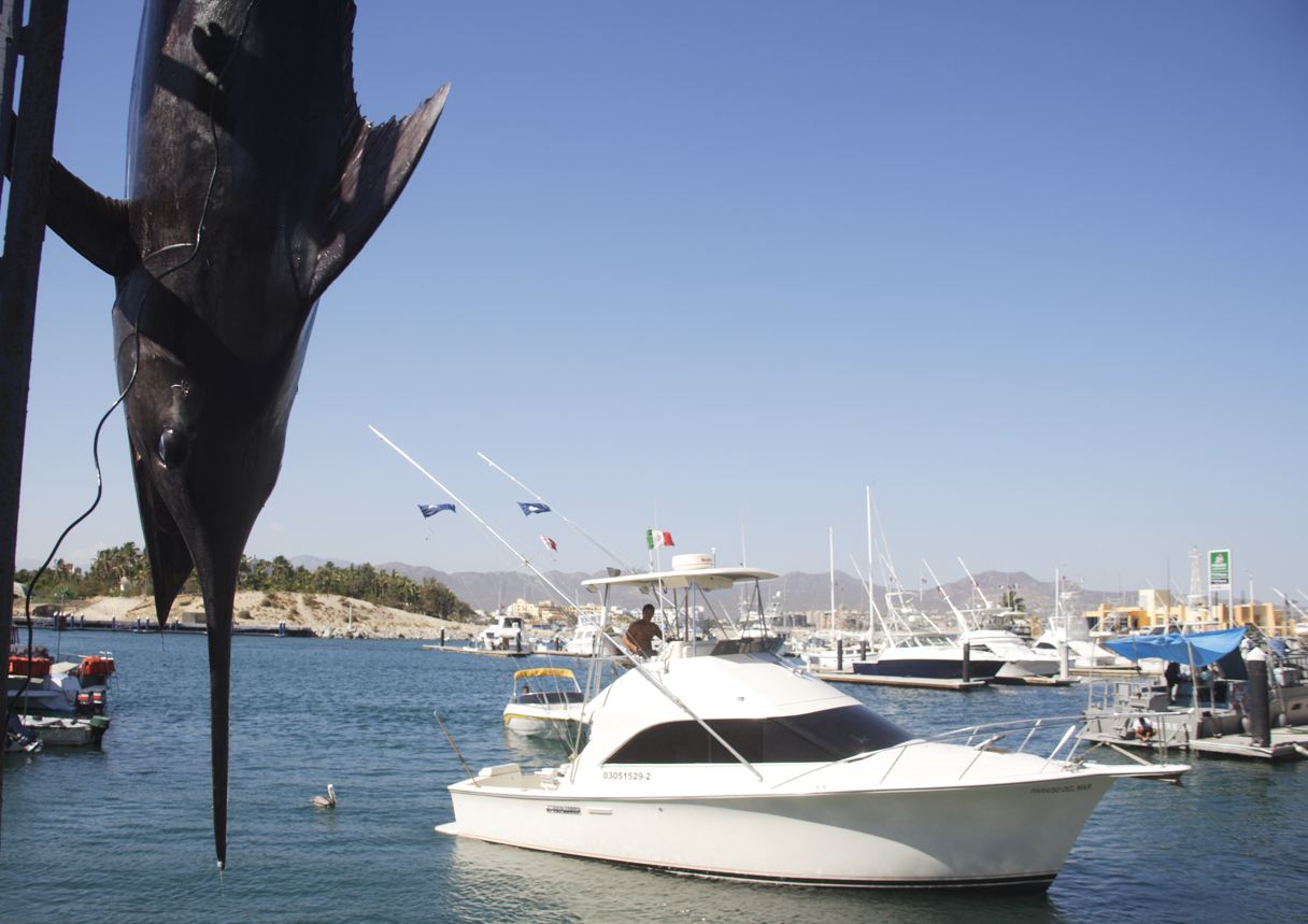 7 American Tourists Rescued While Sport Fishing In San José del Cabo 