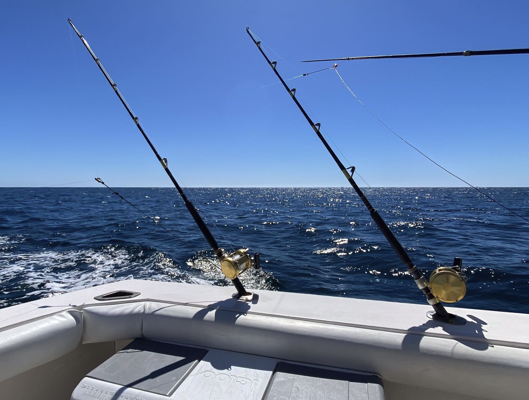 Deep sea fishing Los Cabos