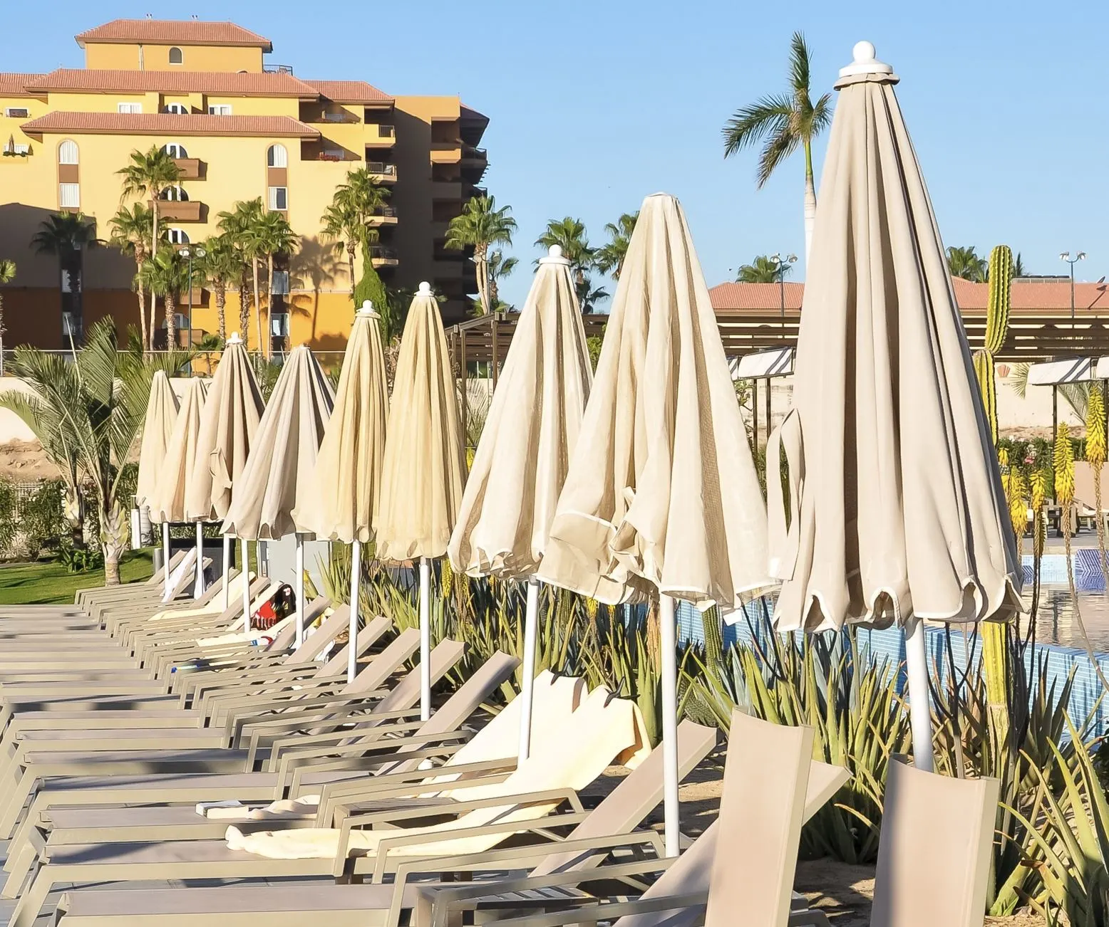Reserved pool chairs with towels on them