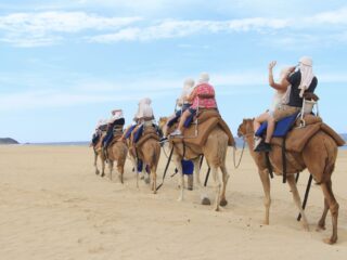 The Most Surprising Tour in Los Cabos Has Nothing To Do With A Boat