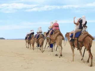 The Most Surprising Tour in Los Cabos Has Nothing To Do With A Boat