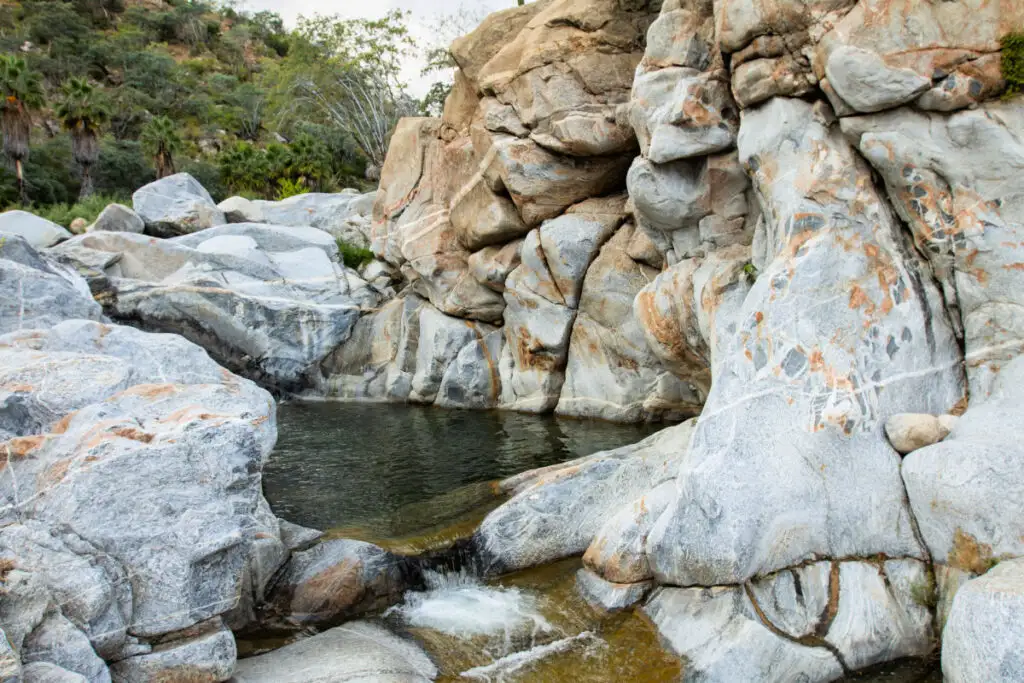View of the stream along the Canyon of Zorra in Santiago, Baja California Sur, Mexico.