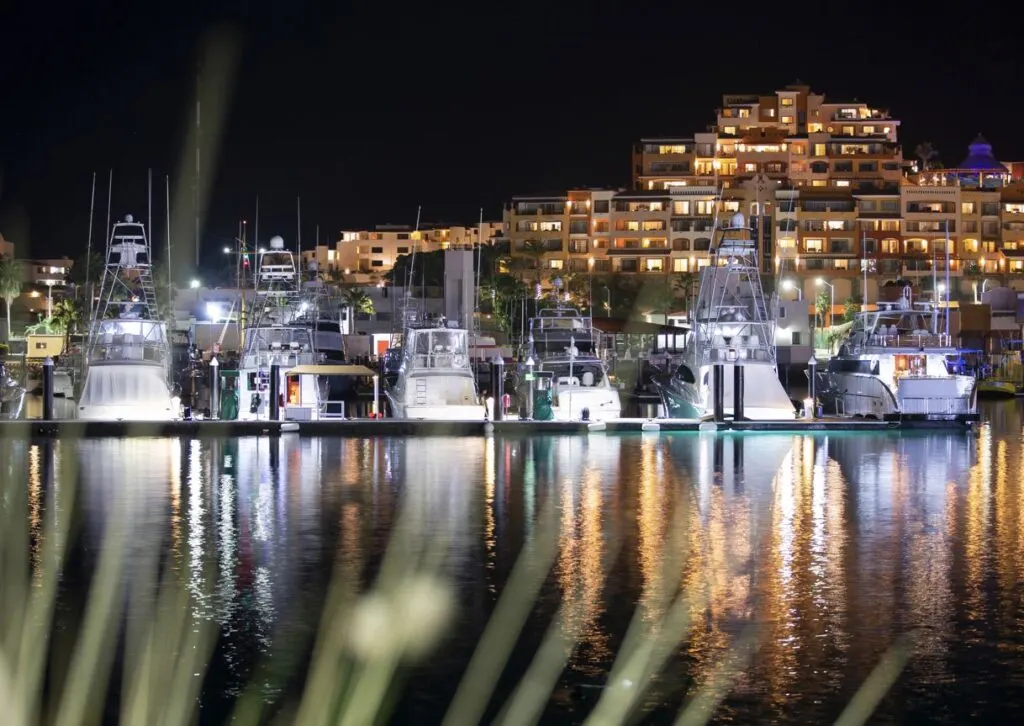 Cabo Marina Night