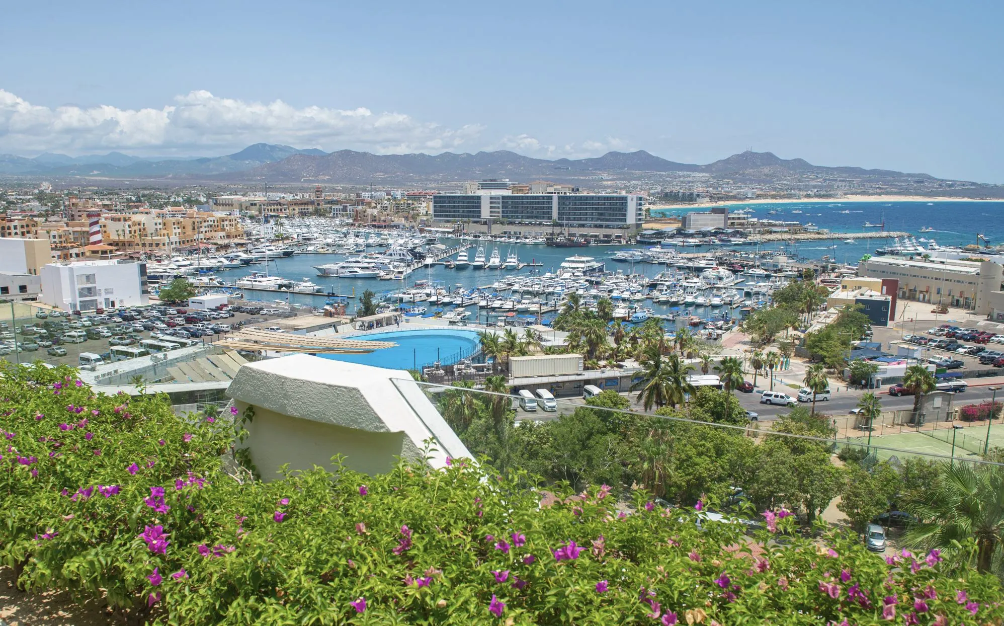 Los cabos Marina