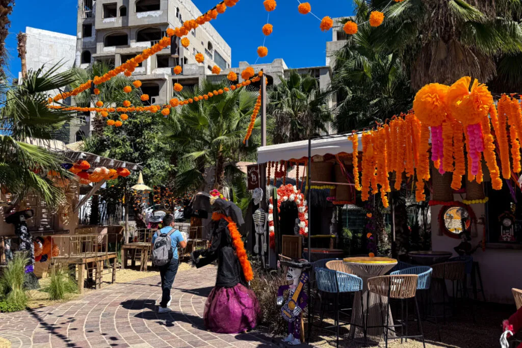 Day of the Dead decorations downtown cabo san lucas