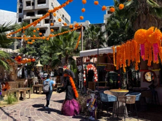 Day of the Dead decorations downtown cabo san lucas