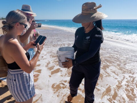 Guests attending turtle release
