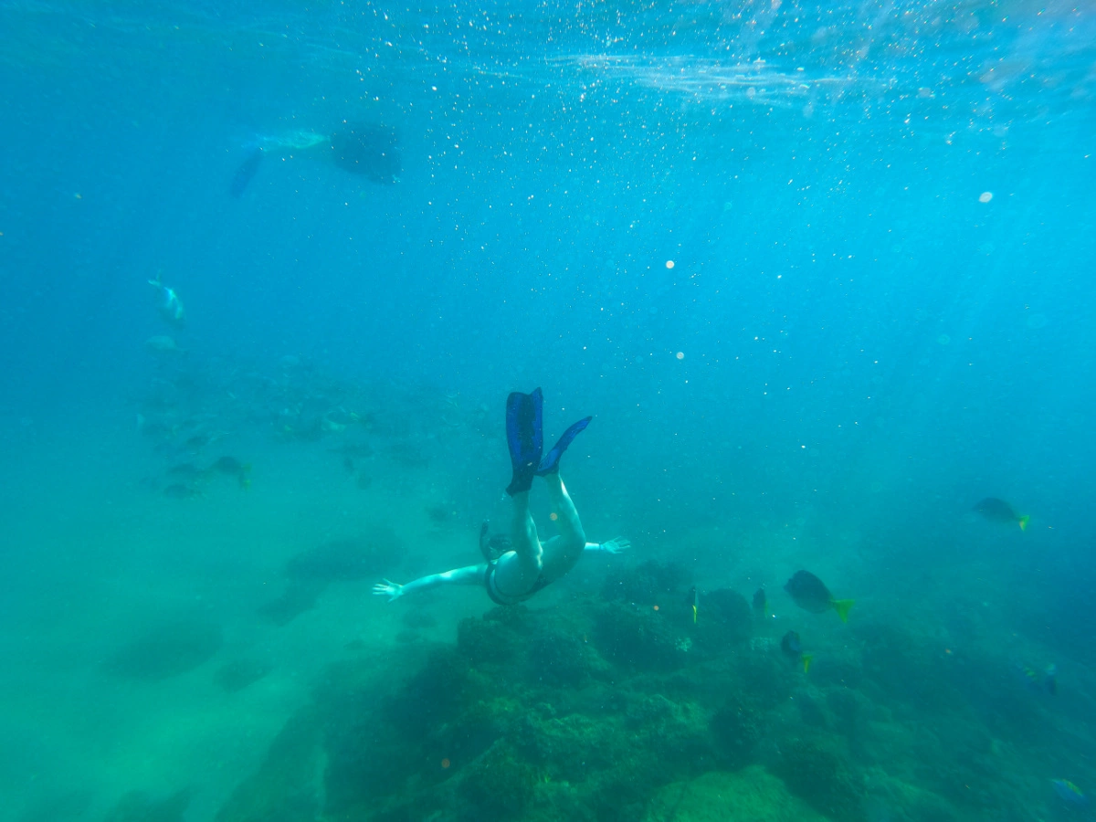 Woman snorkelling with fish at Chileno Beach in Los Cabos