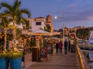 Los Cabos Marina with Christmas Decorations in December