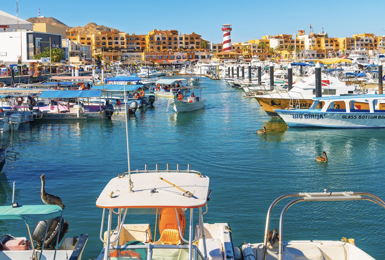 Cabo Authorities Dismantle 16 Illegal Tourist Kiosks In The Marina
