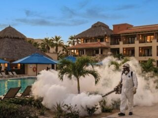 Dengue Fever Season Has Started In Los Cabos Here's Everything Travelers Need To Know This Summer