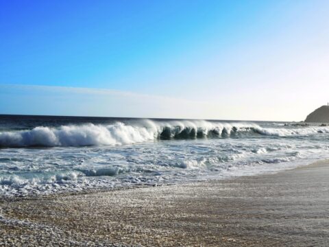 Los Cabos Authorities Remind Tourists To Follow Beach Flags Amid Dangerous Swells