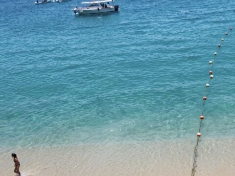 Ocean Evacuated At Medano Beach As Shark Spotted In Cabo