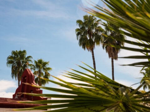 View from the backside of the Miraflores Mexican town church seen from behind a palm