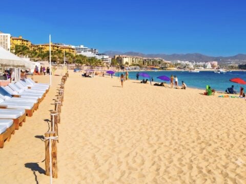 Find Out If Your Cabo Resort Has A Swimmable Beach In Seconds