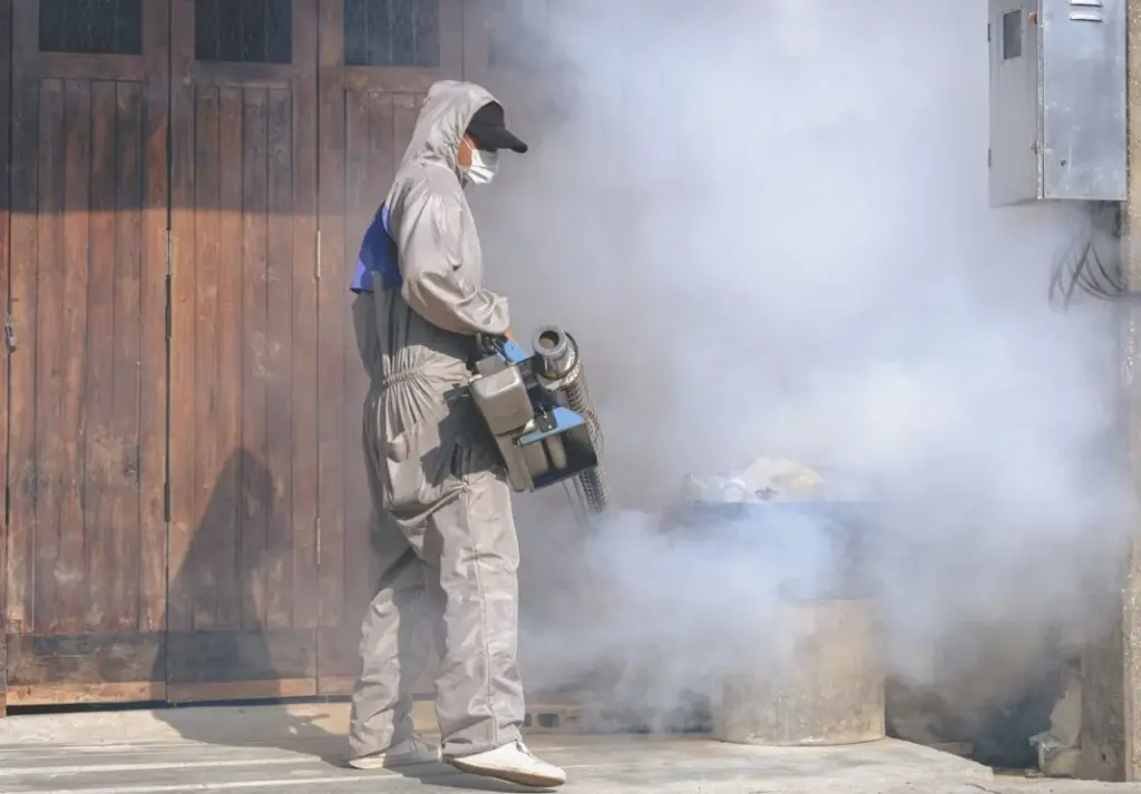 Mosquitoes-Increase-In-Los-Cabos-
