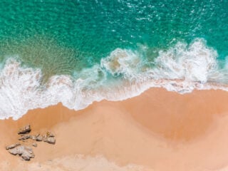 Tropical Beach Los Cabos Mexico