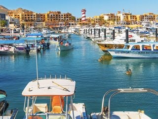 Los Cabos Ports Reopen For Tours But Swimming Remains Restricted On Some Beaches After Hurricane Marie