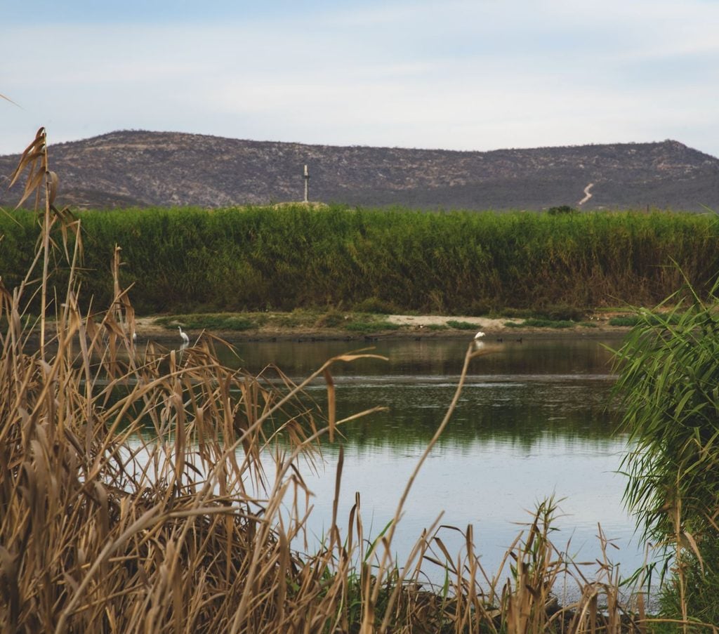 San Jose Del Cabo Estuary 2