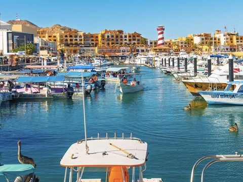 These Are The Top 10 Things To Do At The Cabo San Lucas Marina For 2027